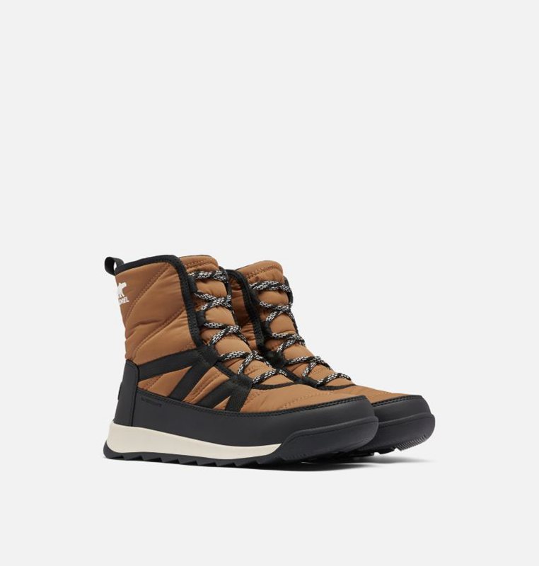 Womens Snow Boots Brown/Black - Sorel Whitney™ II Short Lace Low - 042-ZTCOHE